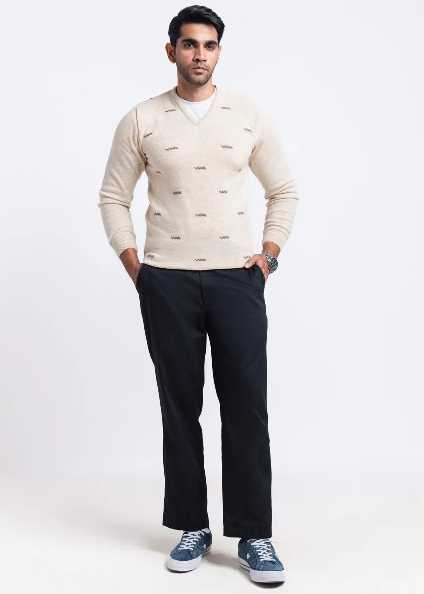Swan-V-Neck Full Sleeves Sweater (505-14) - Image 5
