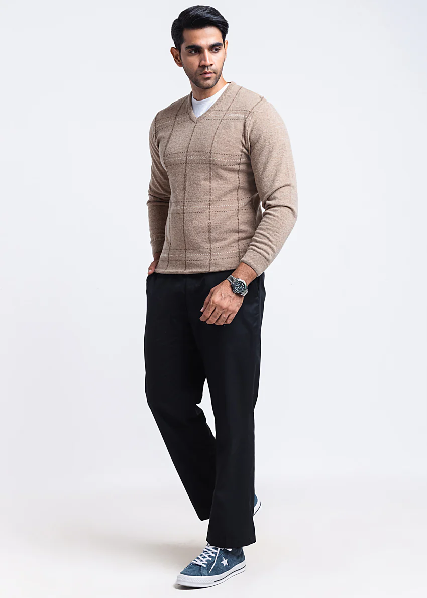 Mashroom-V-Neck Full Sleeves Sweater (506-14) - Image 3