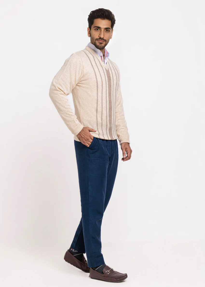Swan-V-Neck Full Sleeves Sweater (507-14) - Image 4