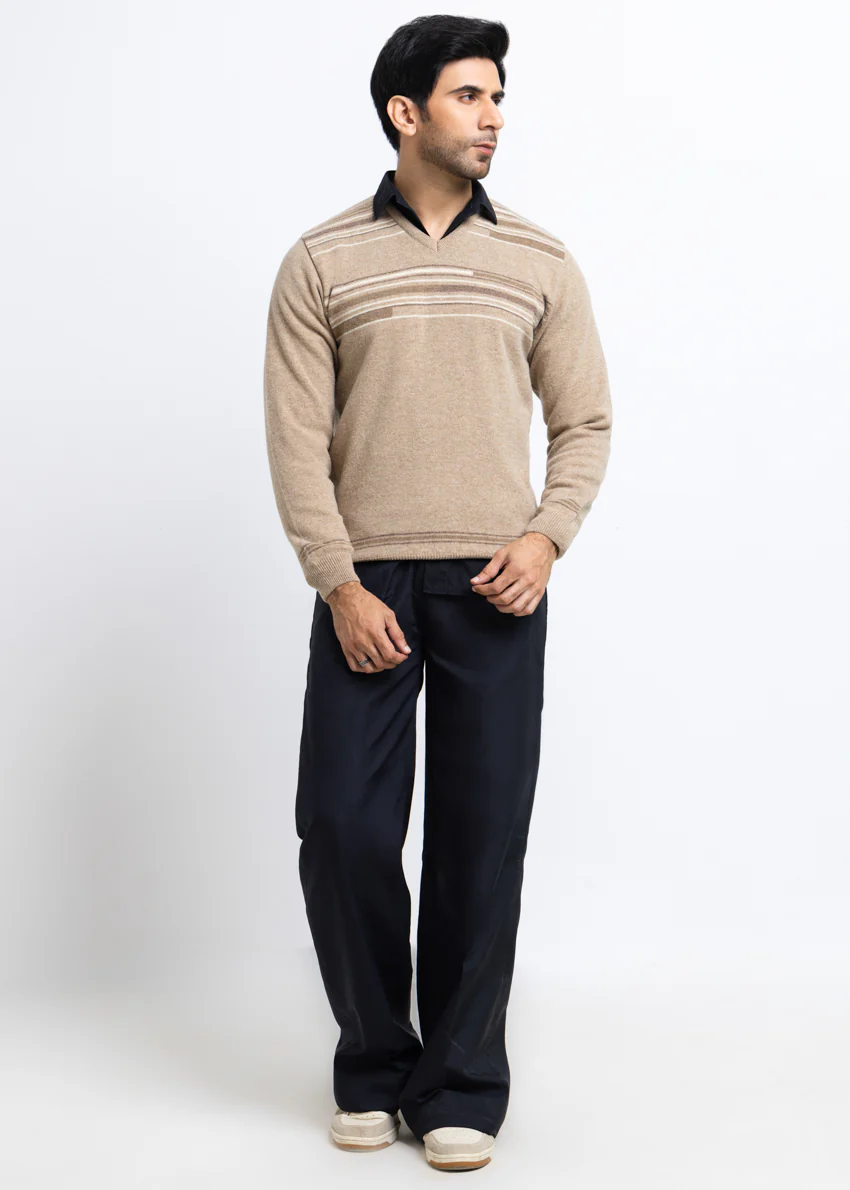Mashroom-V-Neck Full Sleeves Sweater (509-14) - Image 5