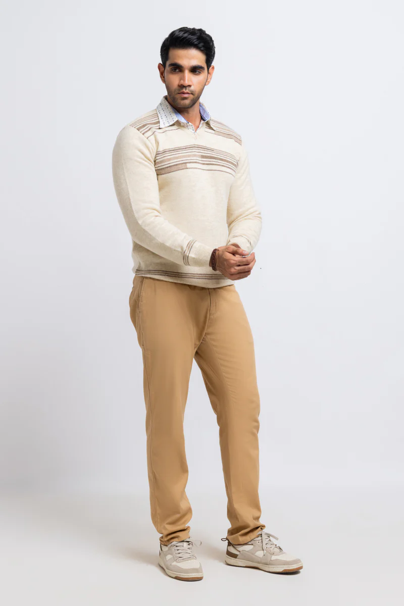 Swan-V-Neck Full Sleeves Sweater (509-14) - Image 2