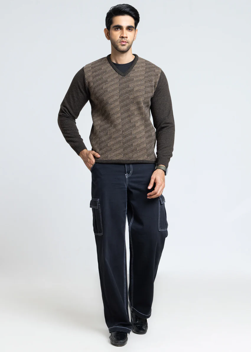 Brahmin-V-Neck Full Sleeves Sweater (524-14) - Image 5