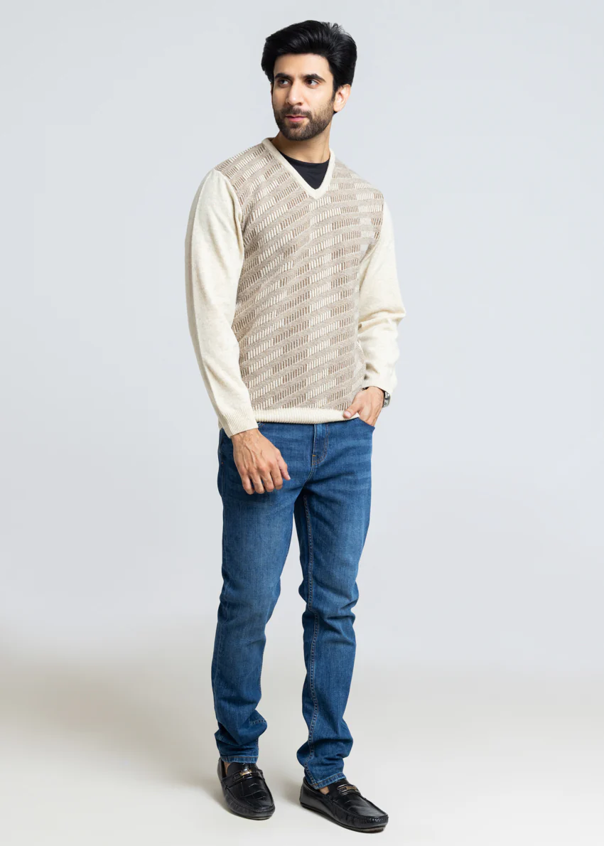 Swan-V-Neck Full Sleeves Sweater (524-14) - Image 4