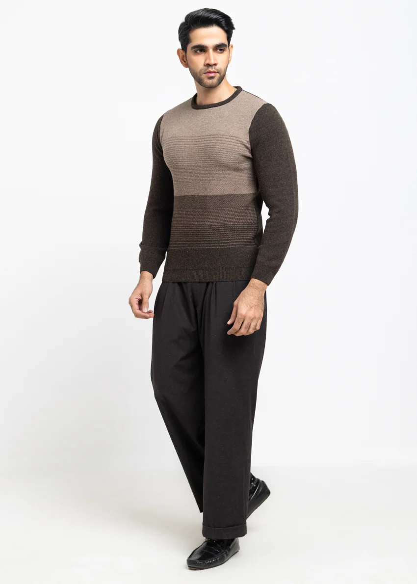 Brahmin-Round Neck Full Sleeves Sweater (853-14) - Image 4