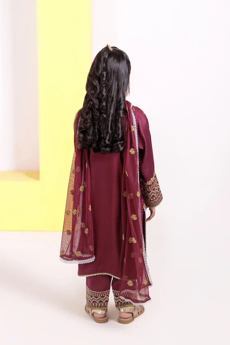 Burgundy-Raw Silk-3 Piece (G25FE3012) - Image 2