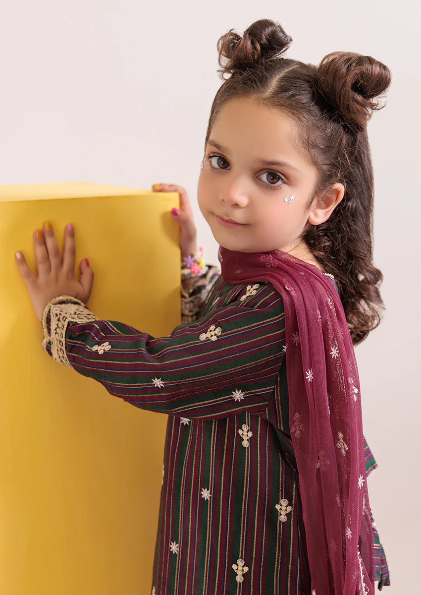 Burgundy-Maisuri-3 Piece (G25FE3023) - Image 3