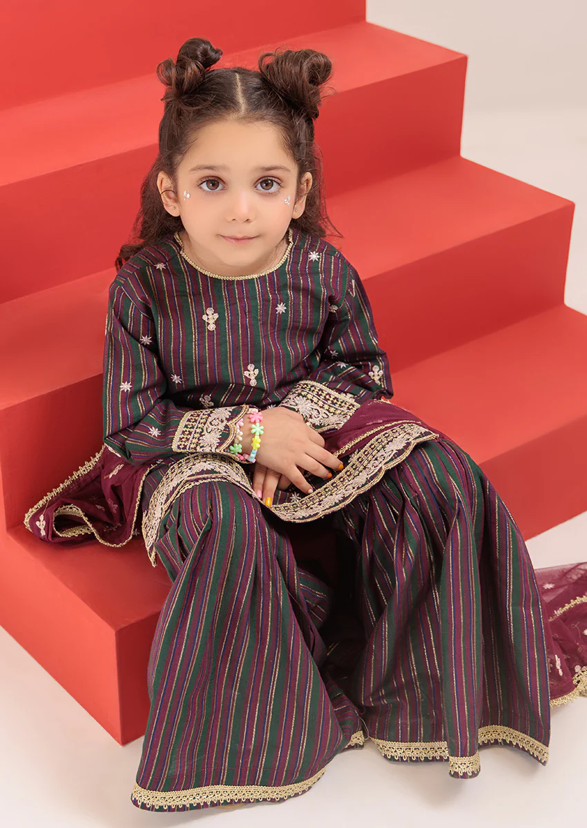 Burgundy-Maisuri-3 Piece (G25FE3023) - Image 5