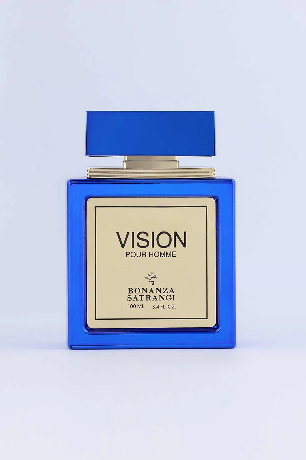 VISION (100 ML) - Image 4