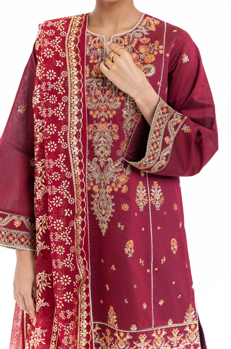 Maroon-Cotton-Net-3 Piece (WP3PSFW25F11D1) - Image 13