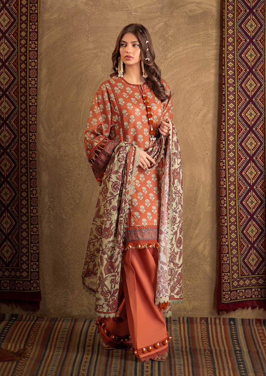 Phulkari - 3 PC (WSS25P3023) - Image 5